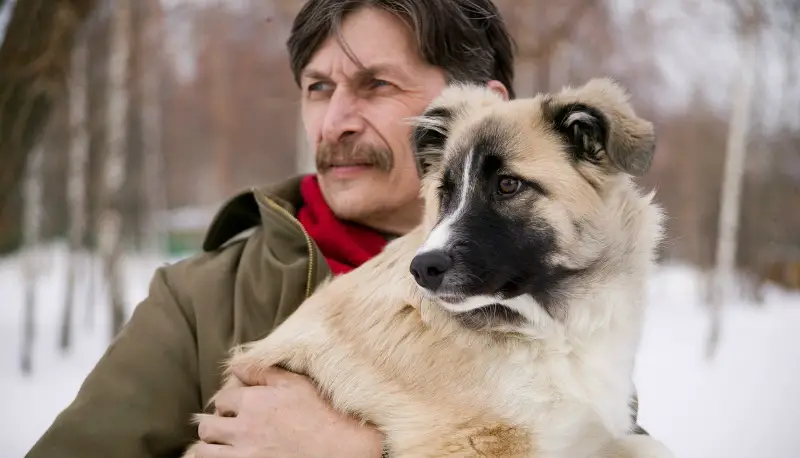 how to get your dog to respect you