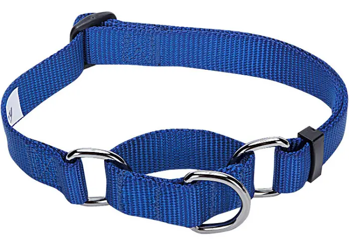 [2 Exclusive Picks!] Best Collar for Large Dog That Pulls