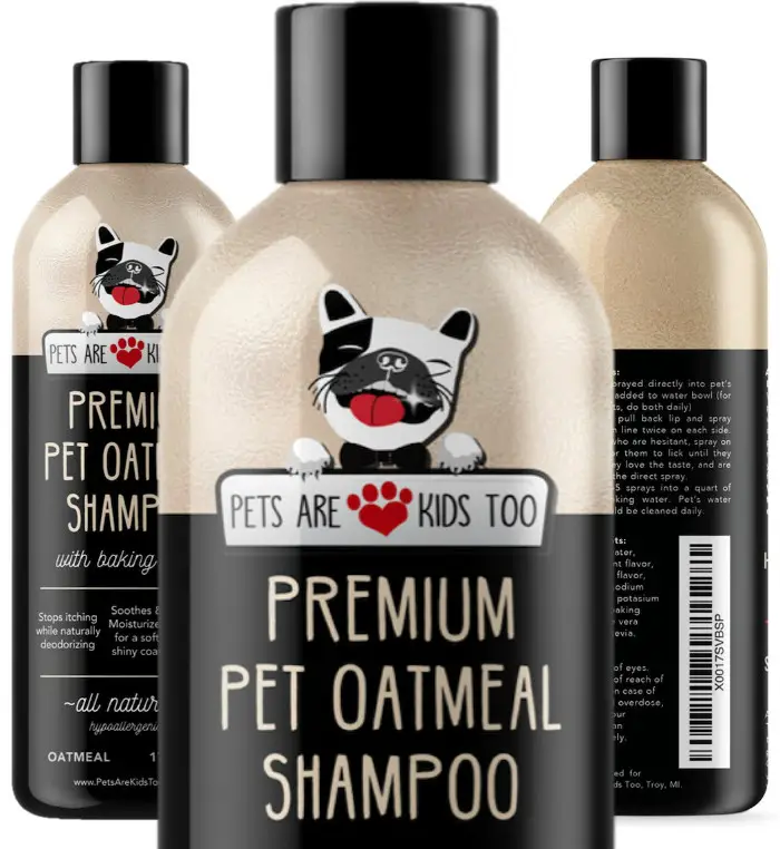3-best-dog-shampoo-options-for-dry-skin-and-dandruff-buyer-s-guide