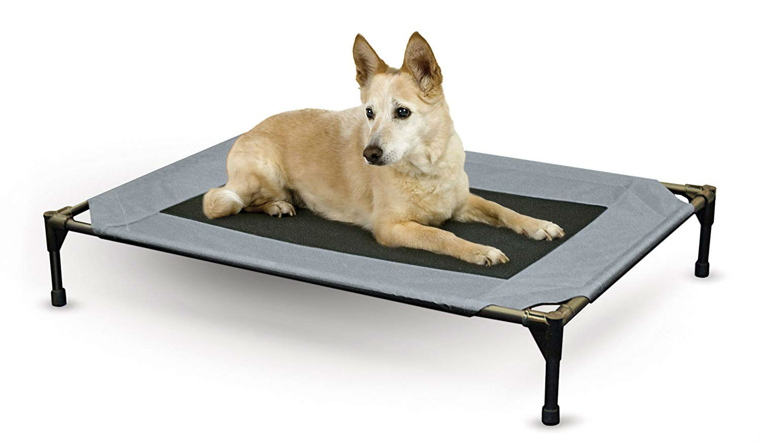 Top 5 Cheap Large Dog Beds for Pet Owners on a Budget