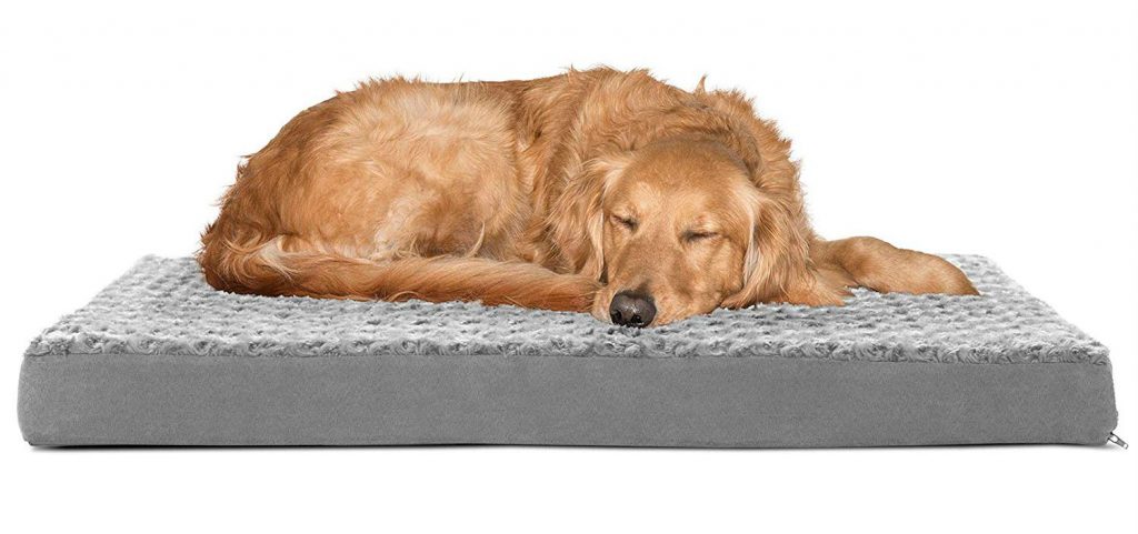 buy cheap dog beds