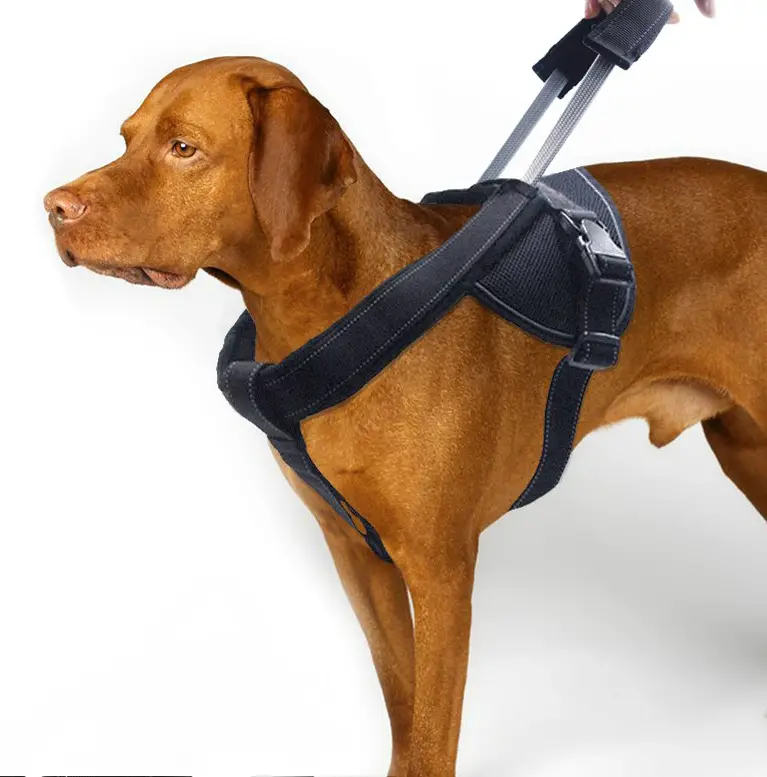 harness for Pitbulls to stop pulling