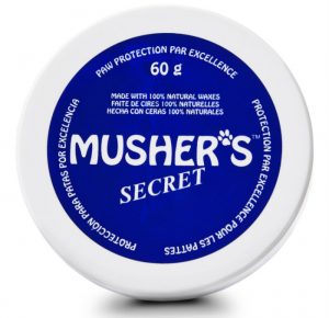 how to protect dog paws from hot pavement