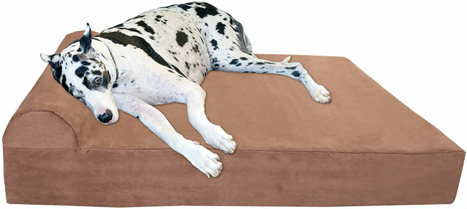 Top 4 Mastiff Dog Beds to Keep Your Giant Fido Comfy