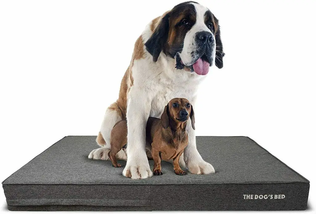 Mastiff dog beds