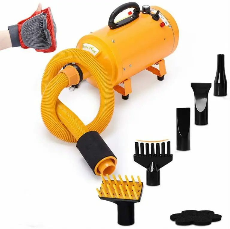 7 Best Dog Dryers for Home Use Best Picks & Buying Guide
