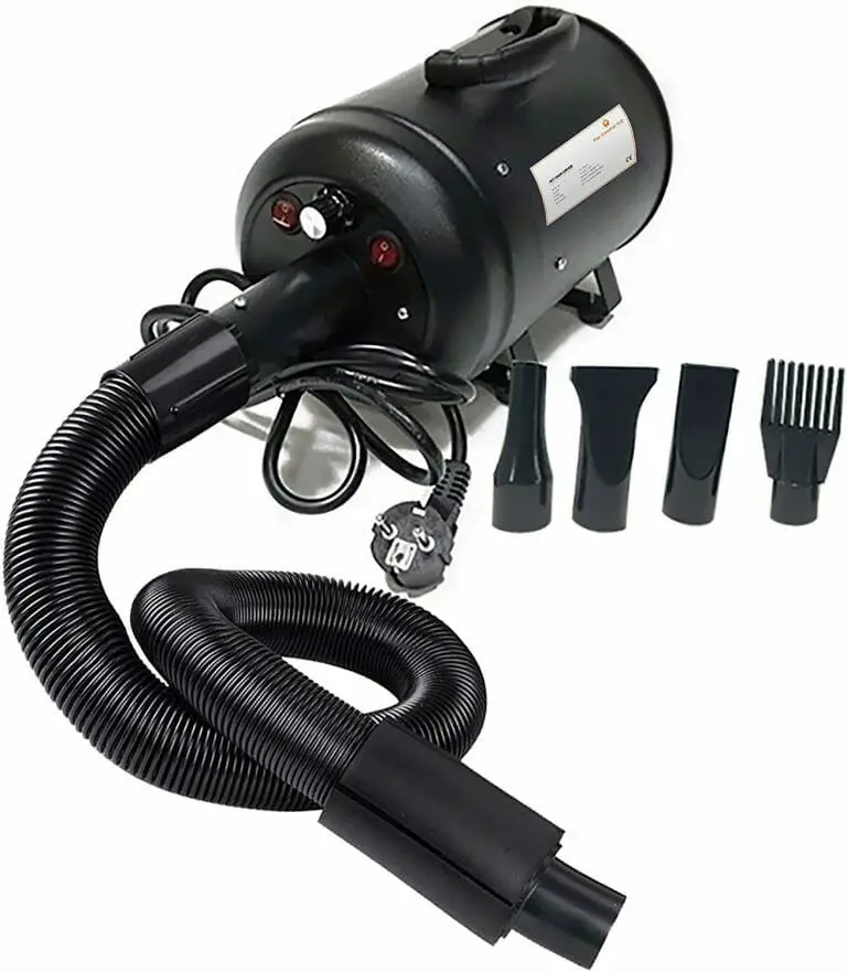7 Best Dog Dryers for Home Use Best Picks & Buying Guide