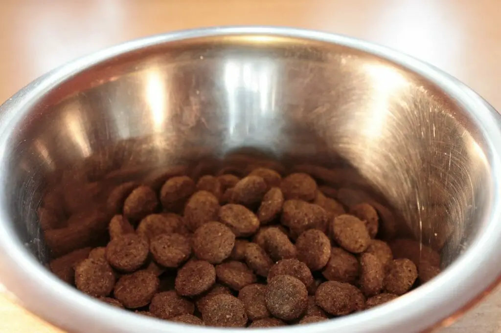 best dog food for high energy dogs