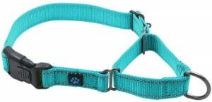 best collar for dogs that escape