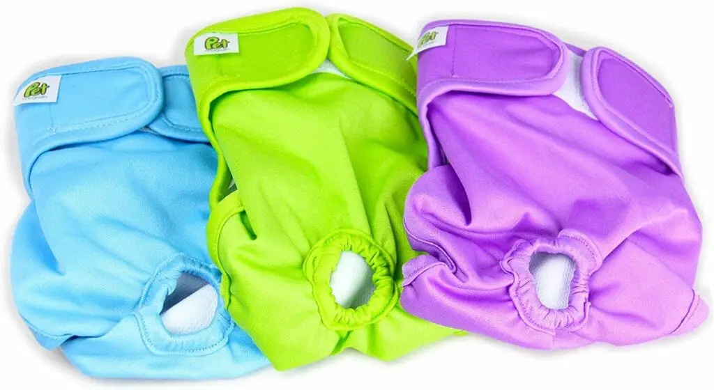 where to buy dog diapers