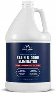 what is the best enzyme cleaner for dog urine - enzymatic cleaner