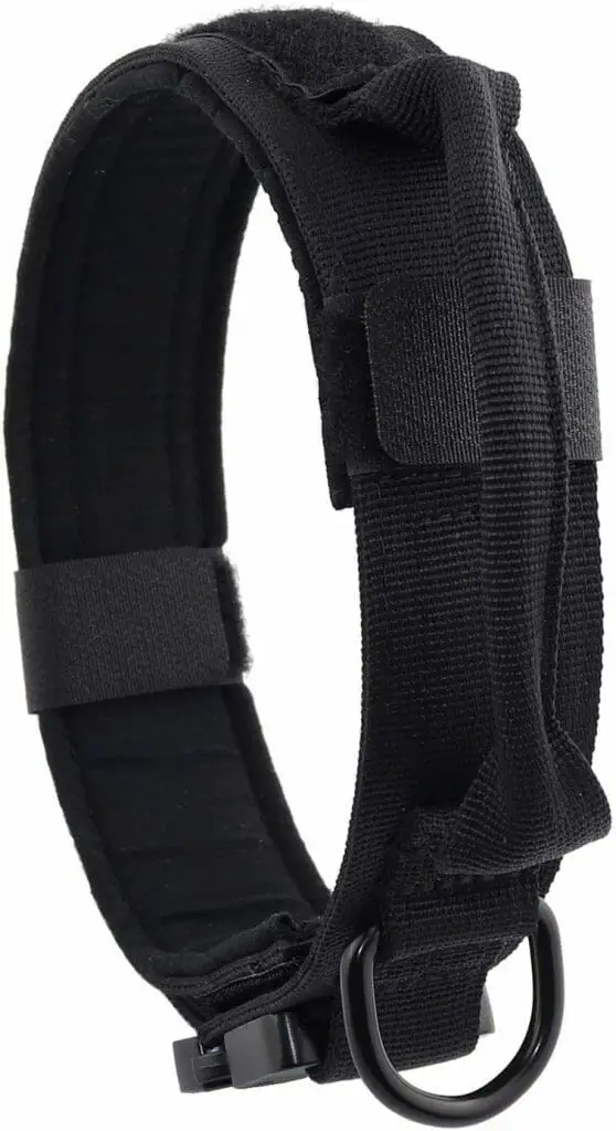 Best Collar For Dogs that Escape Top 5 Options for Your Pooch