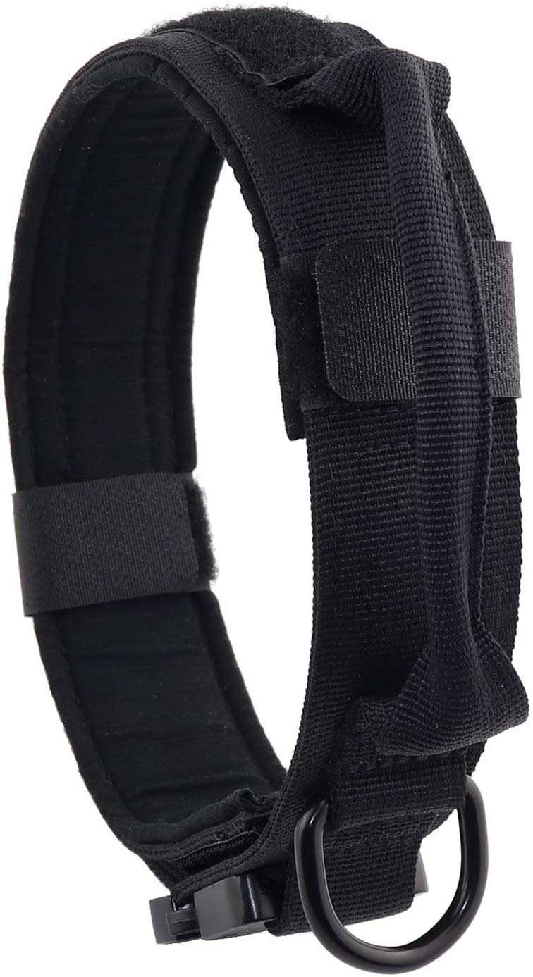 Best Collar For Dogs that Escape Top 5 Options for Your Pooch