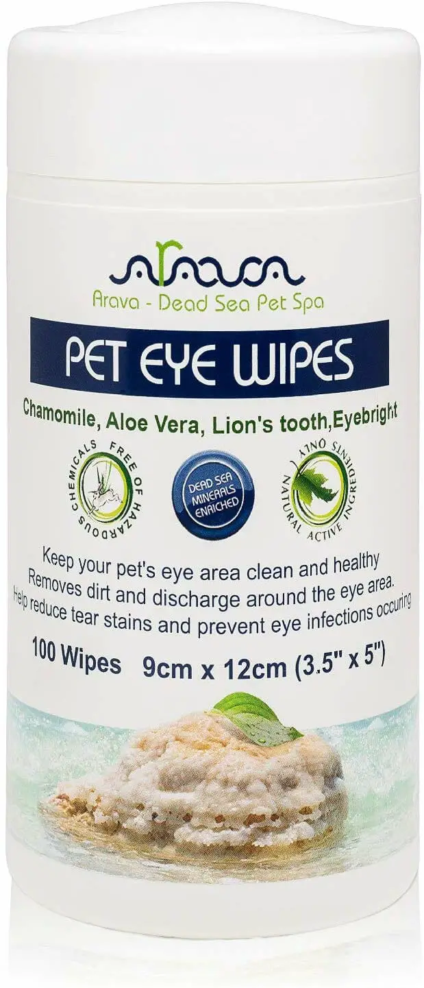 The Best Dog Tear Stain Remover Home Remedy To Use Today Best