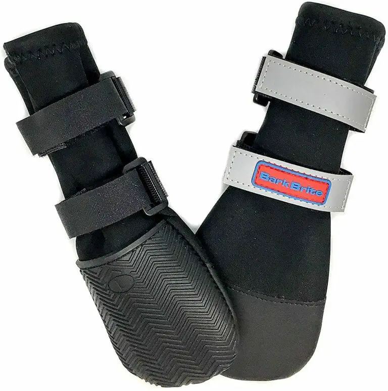 5 Best Dog Boots for Hot Pavement & Long Walks Check it Out!