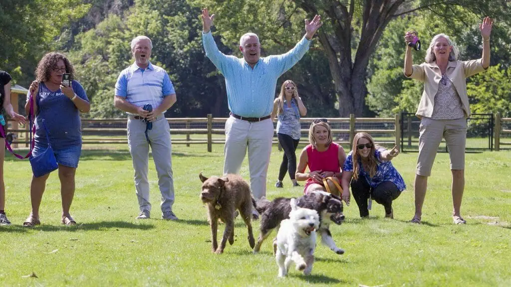 how do dog parks work