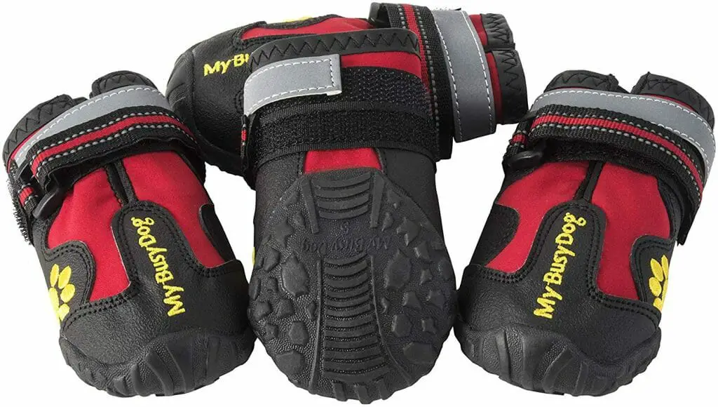 5 Best Dog Boots for Hot Pavement & Long Walks Check it Out!