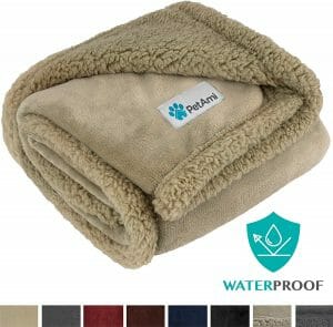 chew proof blanket