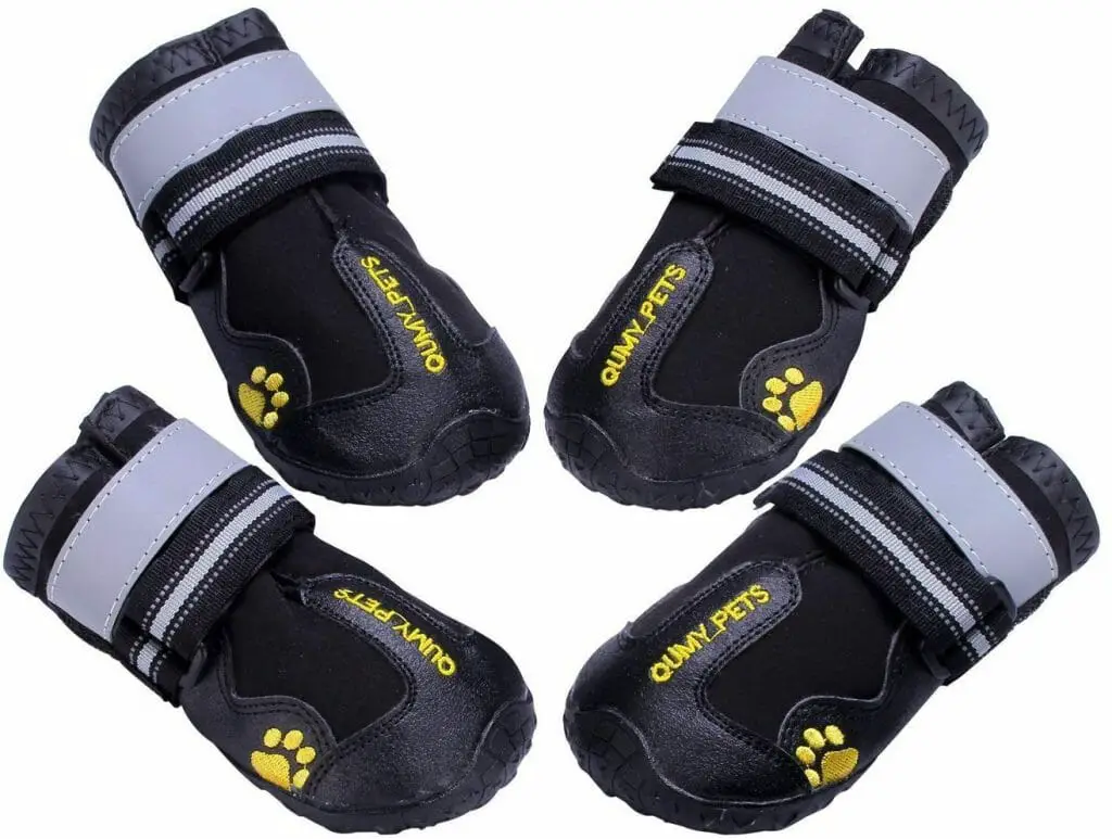 5 Best Dog Boots for Hot Pavement & Long Walks Check it Out!