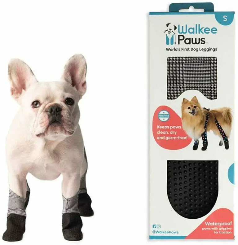 5 Best Dog Boots for Hot Pavement & Long Walks Check it Out!