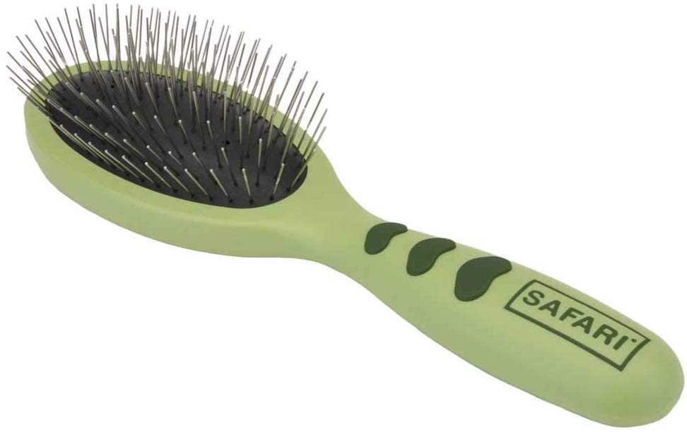 7 Best Brushes for Old English Sheepdog for Easy Grooming