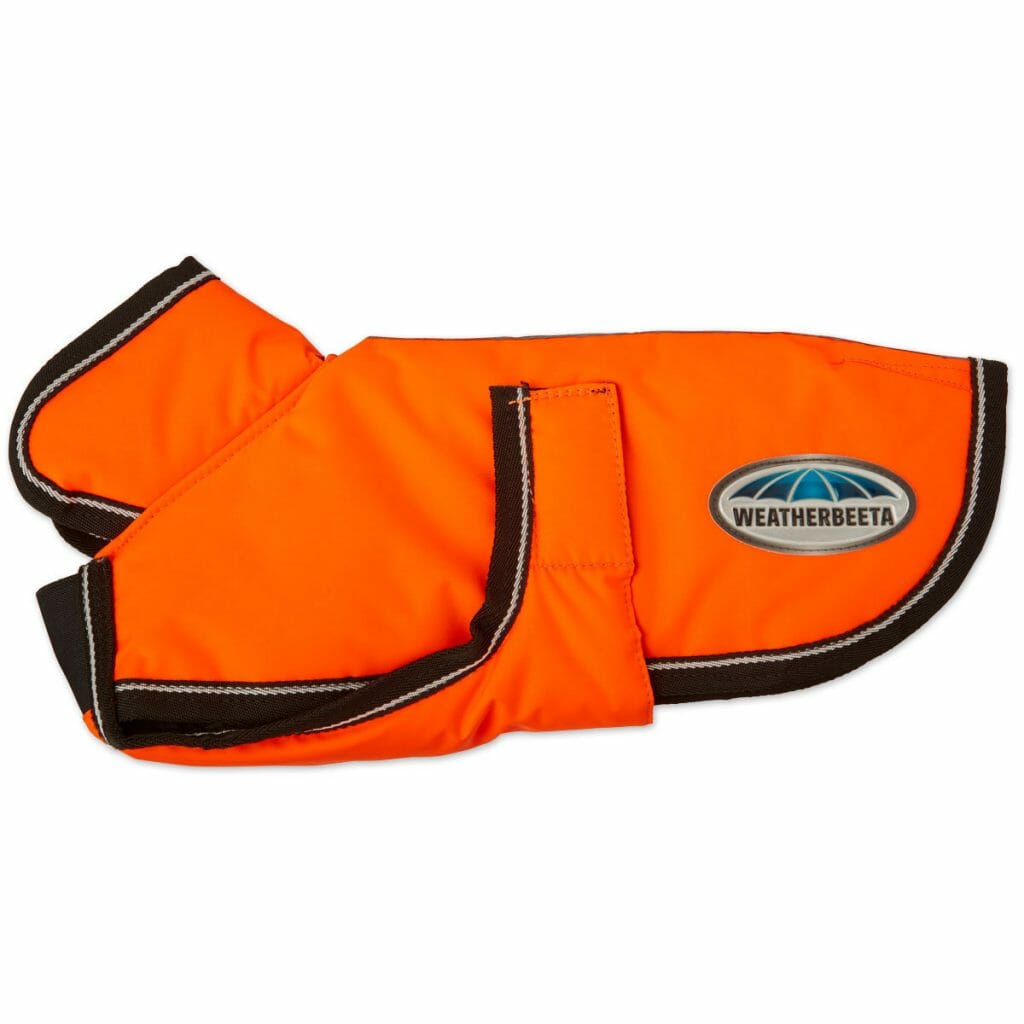 Jackets For Dogs To Keep Them Warm Best Protection Dogs