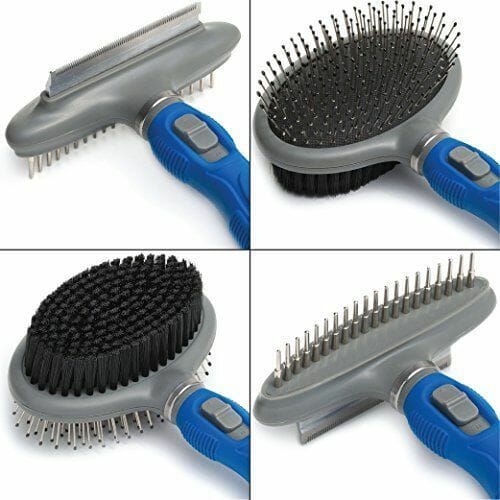 Top 5 Best Dog Brushes for Cocker Spaniel And Buying Guide (2022