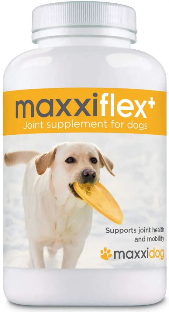 5 Best Dog Joint Supplement for Every Dog Breed Best Protection Dogs