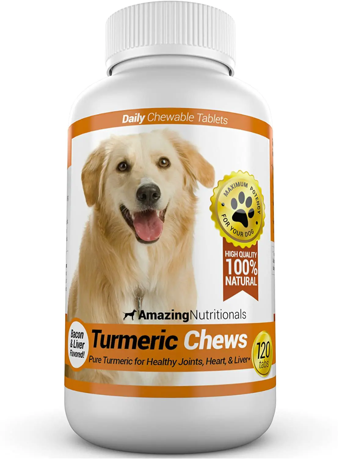 4 Best Golden Pastes for Dogs and Buying Guide