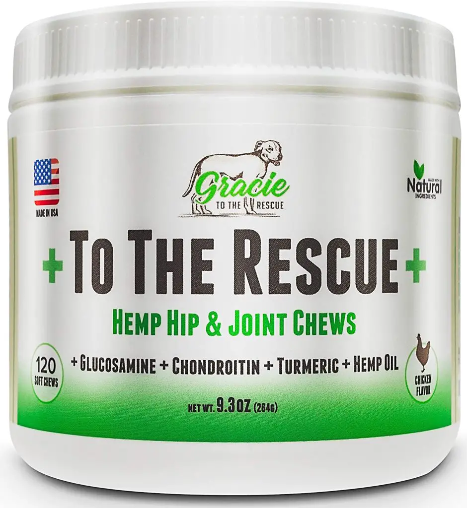 5 Best Dog Joint Supplement for Every Dog Breed Best Protection Dogs