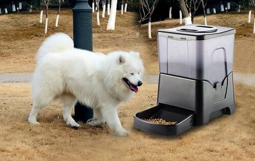 large dog automatic feeder