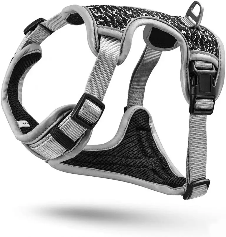 7 Best Harness for A Complete Detailed Guide Best Protection Dogs