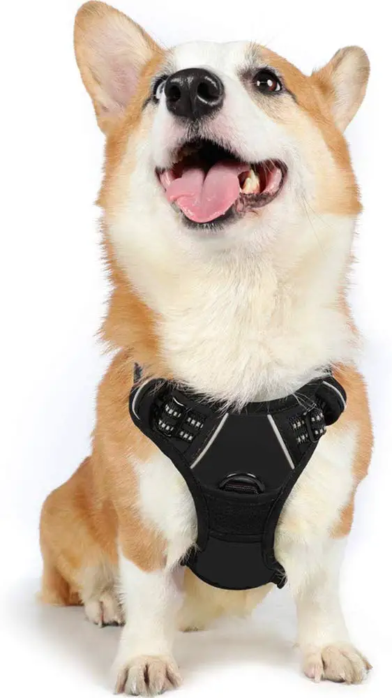 7 Best Harness for A Complete Detailed Guide Best Protection Dogs