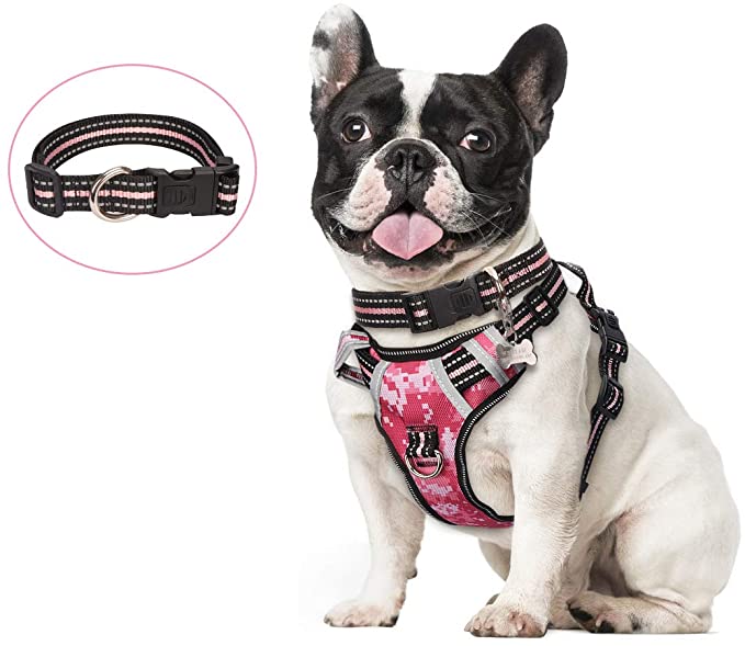 7 Best Harness for Corgi- A Complete Detailed Guide - Best Protection Dogs