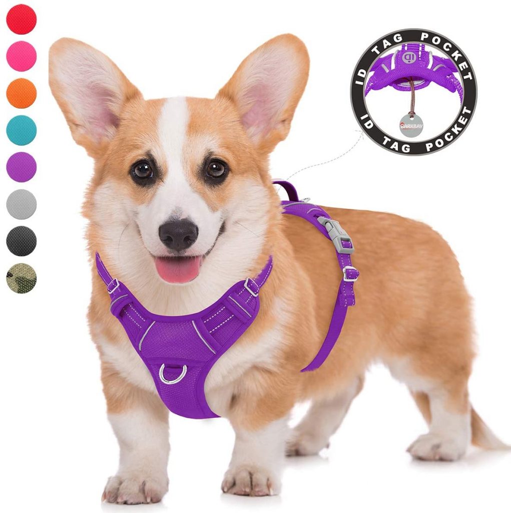 7 Best Harness for A Complete Detailed Guide Best Protection Dogs