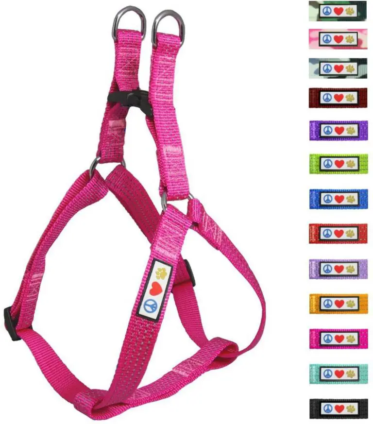 7 Best Harness for Miniature Pinscher (2022) A Complete Detailed