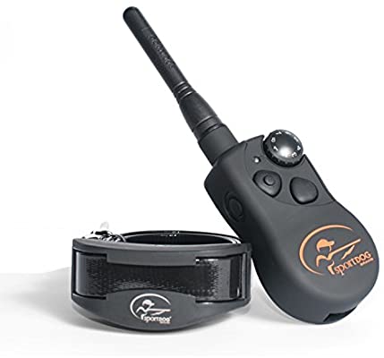 Best shock collar for long-haired dogs