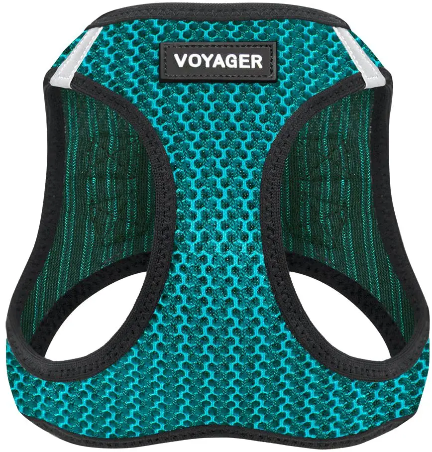 7 Best Harness for Miniature Pinscher (2022) A Complete Detailed