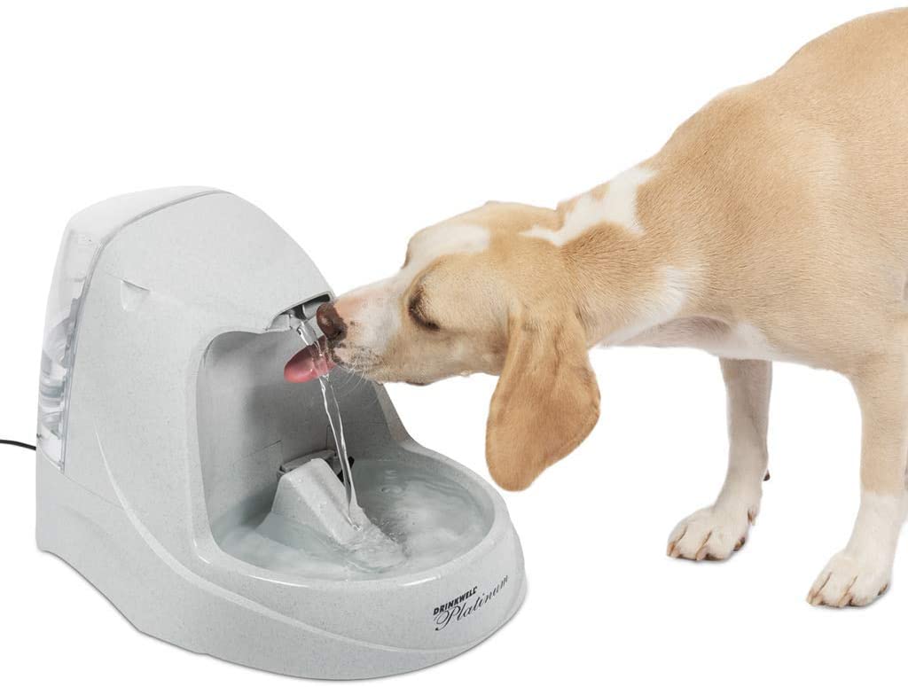 Extra large dog water fountain 5 best options for the money 2022