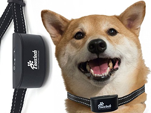 5 Best Shock Collar for Medium Sized Dogs – The Buying Guide and ...