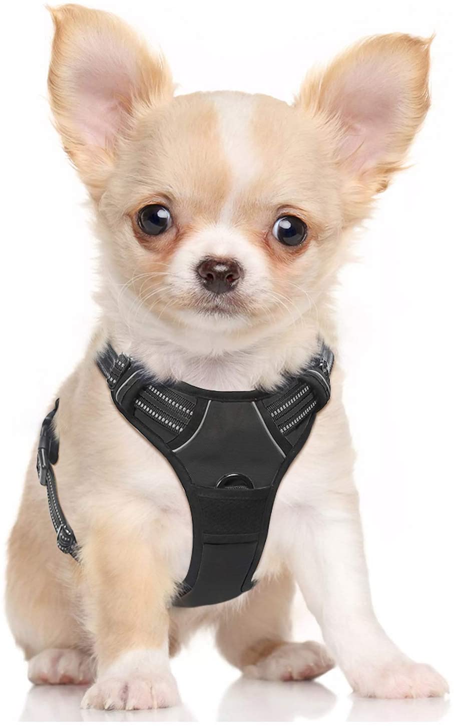5 Best Harness for French Bulldog Puppy (2022) Best Protection Dogs