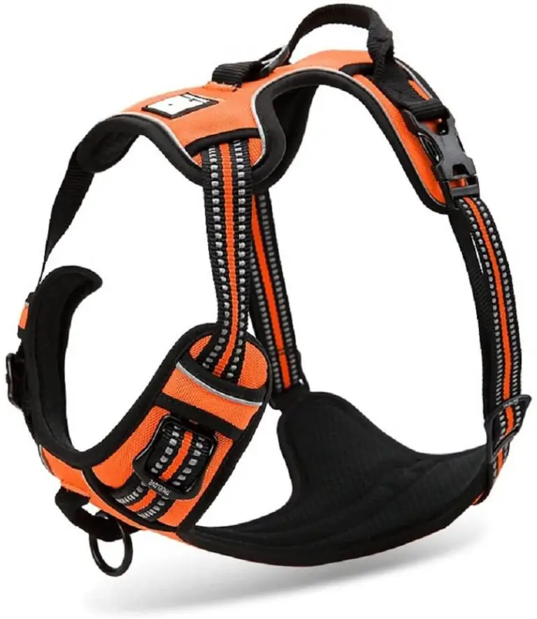 Best Harness for a Shih Tzu 5 Best Harnesses for Dog Control Best