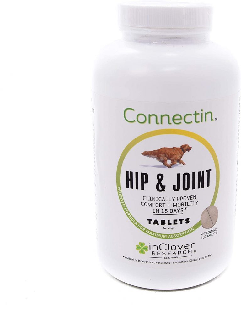 5 Best Supplements for Hip Dysplasia in Dogs Best Protection Dogs