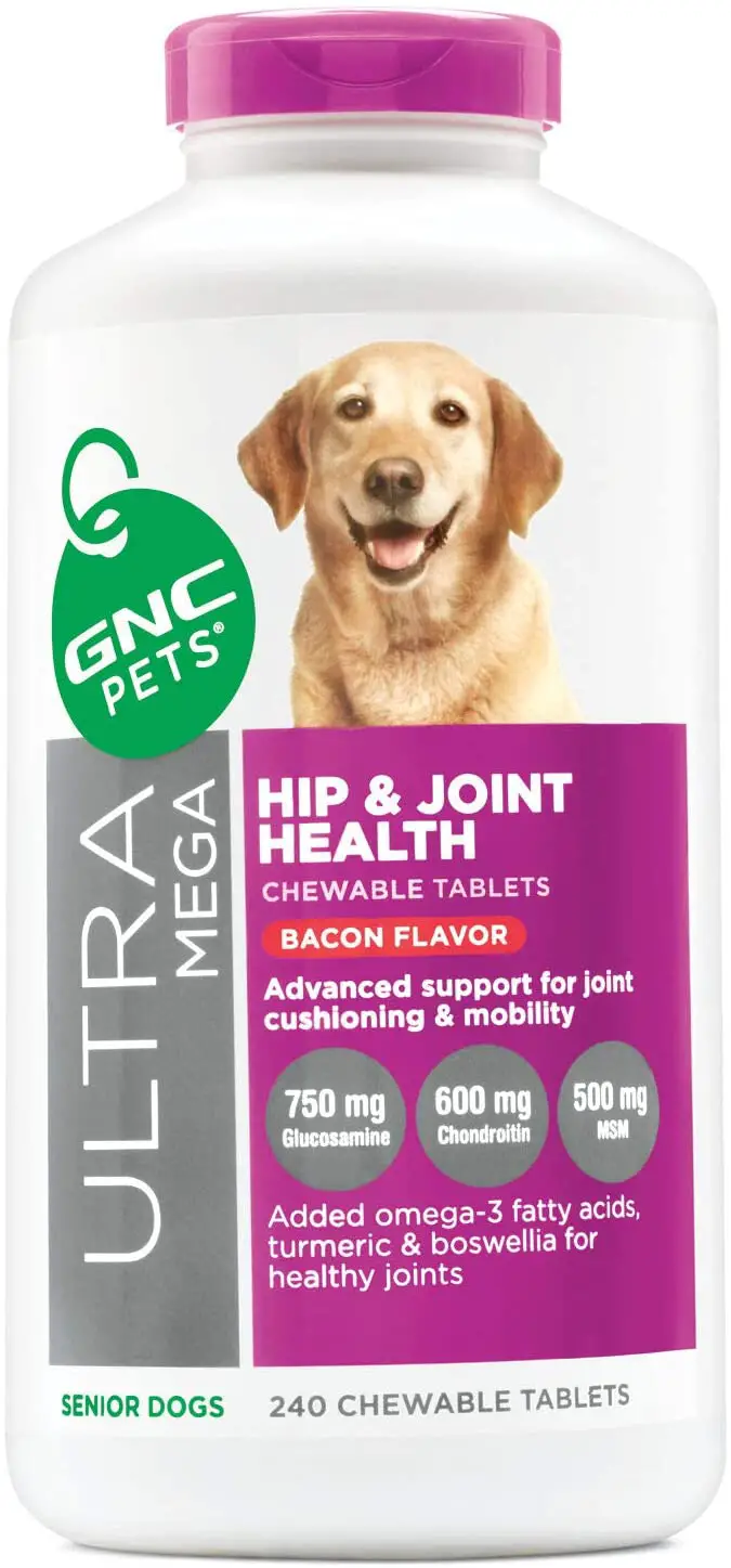 5 Best Supplements for Hip Dysplasia in Dogs Best Protection Dogs