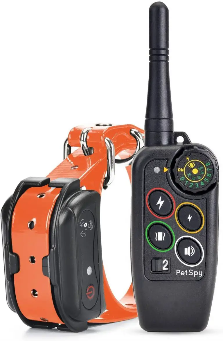 5 Best Shock Collar for Medium Sized Dogs The Buying Guide and