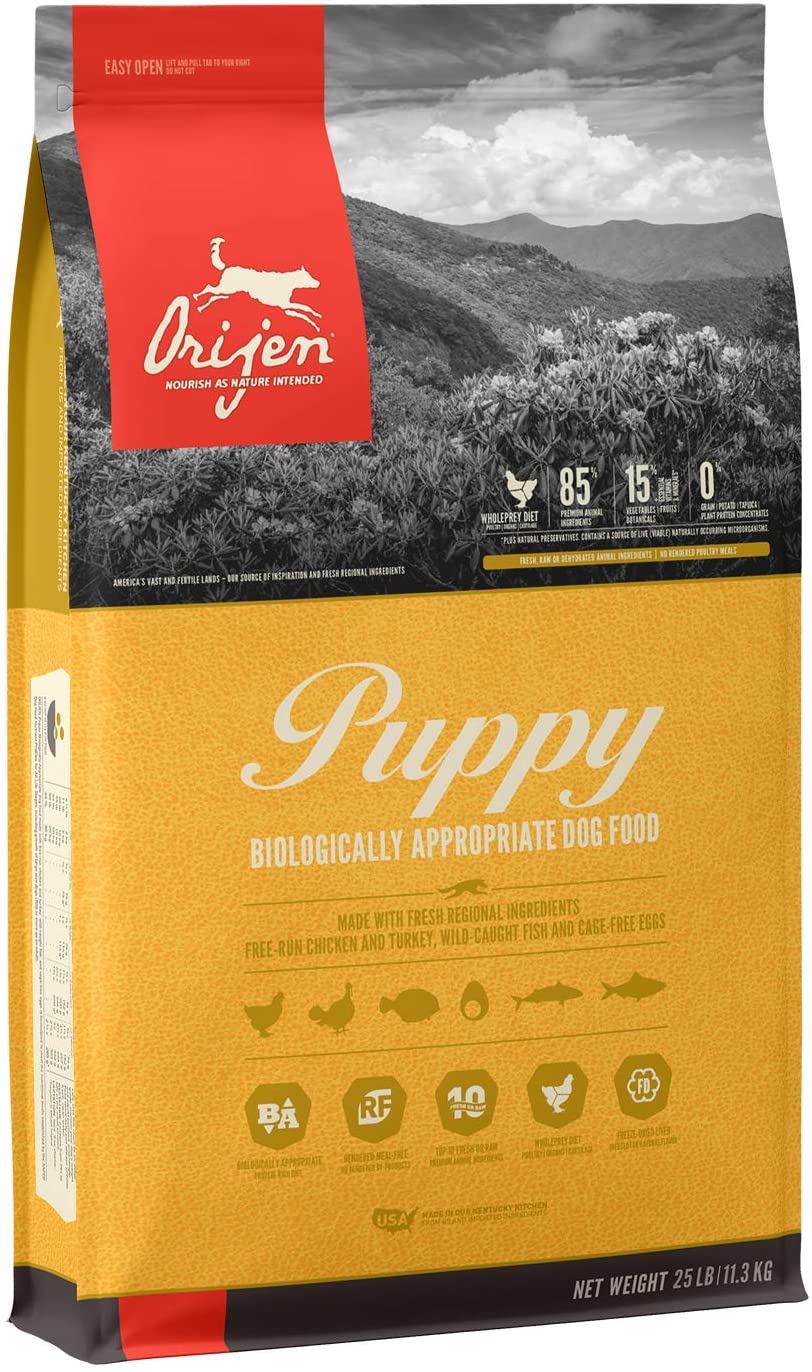 Best Dog Food For Dalmatians 5 Nutritious Options Best Protection Dogs