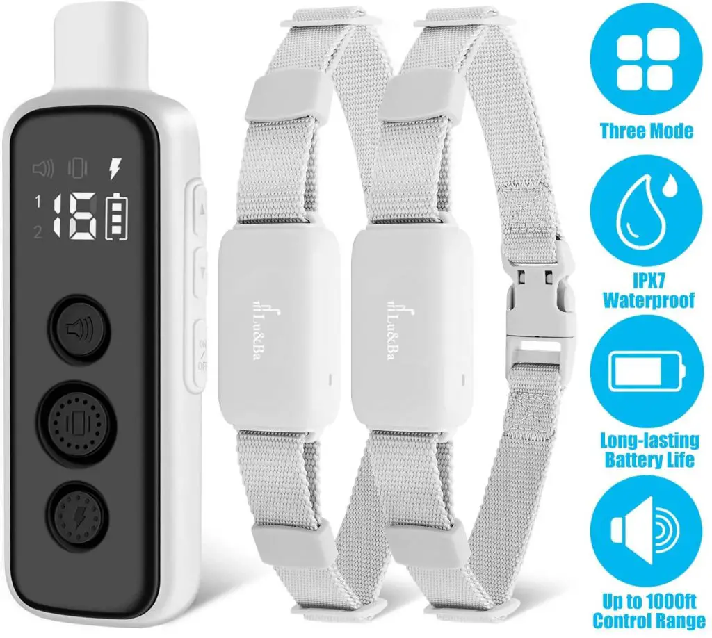 5 Best Shock Collar for Multiple Dogs (2022) Best Protection Dogs