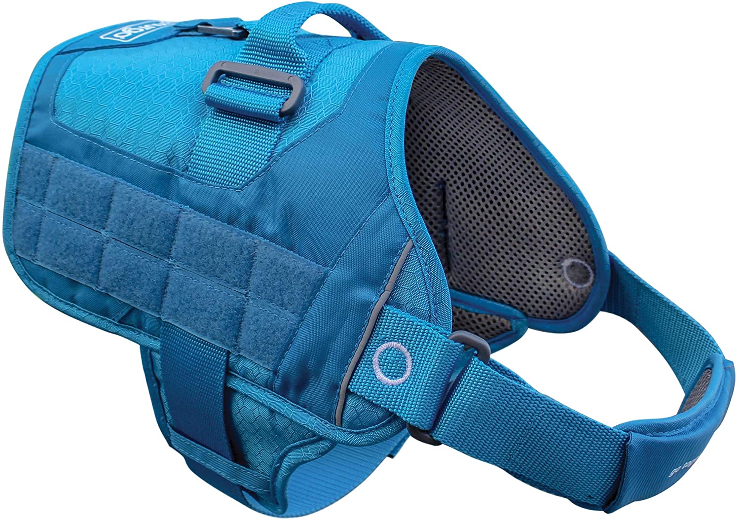 Best Harness for Boston Terrier Top 5 Editor Picks Best Protection Dogs