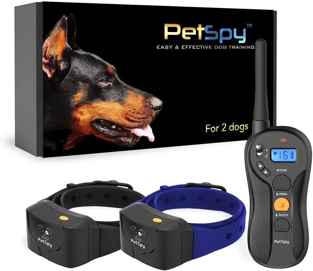 5 Best Shock Collar for Multiple Dogs (2022) - Best Protection Dogs