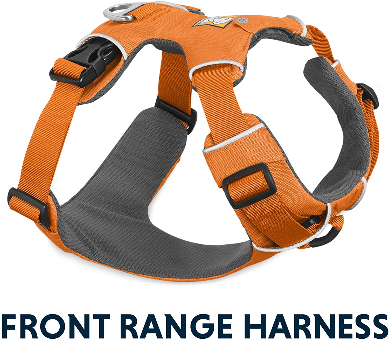 Best Harness for Boston Terrier Top 5 Editor Picks Best Protection Dogs
